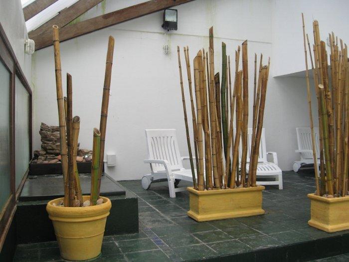 Club Sol Del Este Aparthotel Пунта дел Есте Екстериор снимка